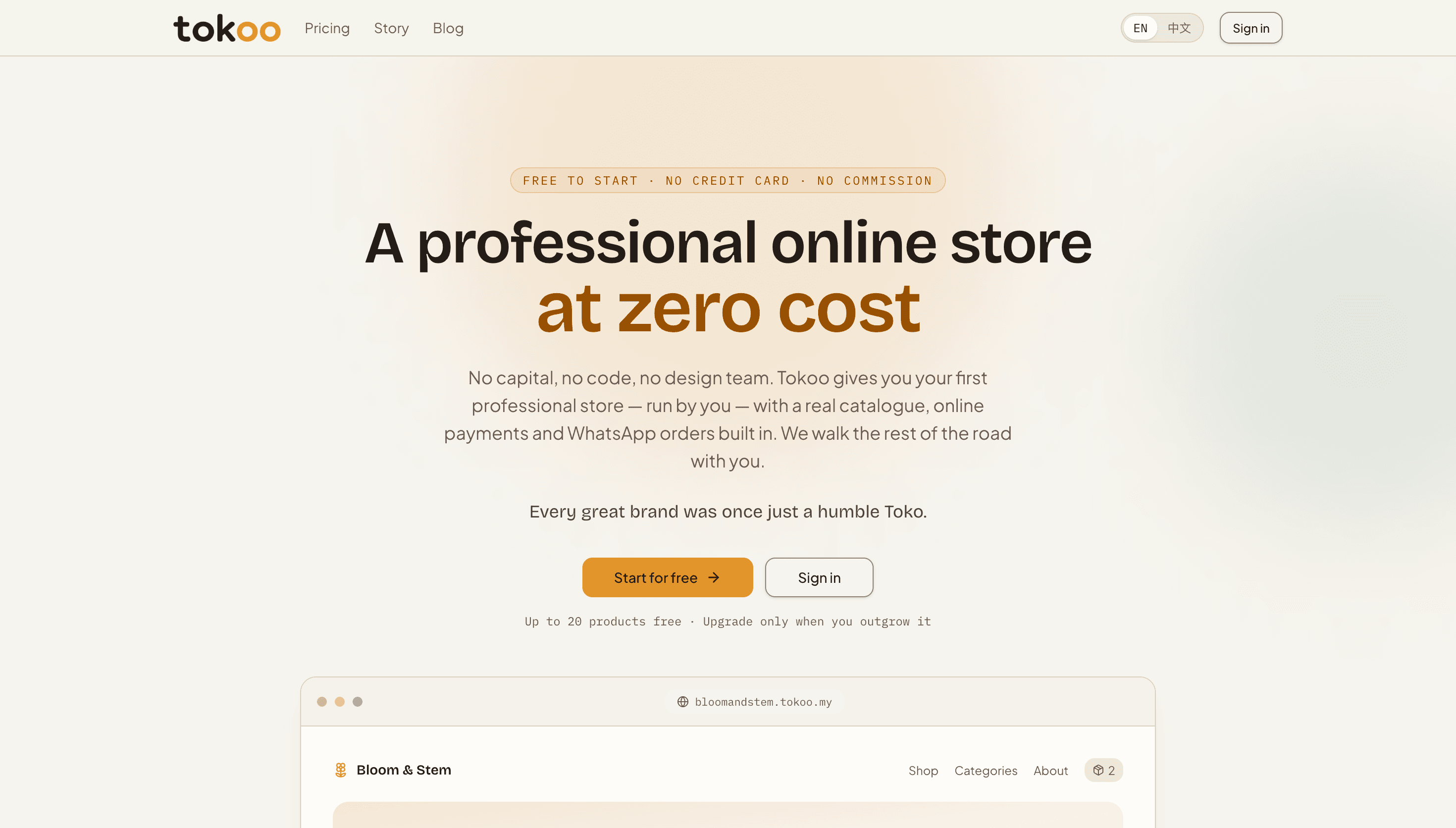 Tokoo 网店平台首页，展示标题「A professional online store at zero cost」与商店预览